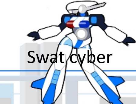 Swat cyber